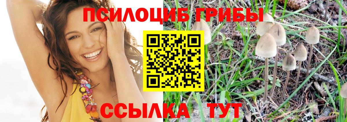 Псилоцибиновые грибы Cubensis  Вход с VPN  Туймазы 